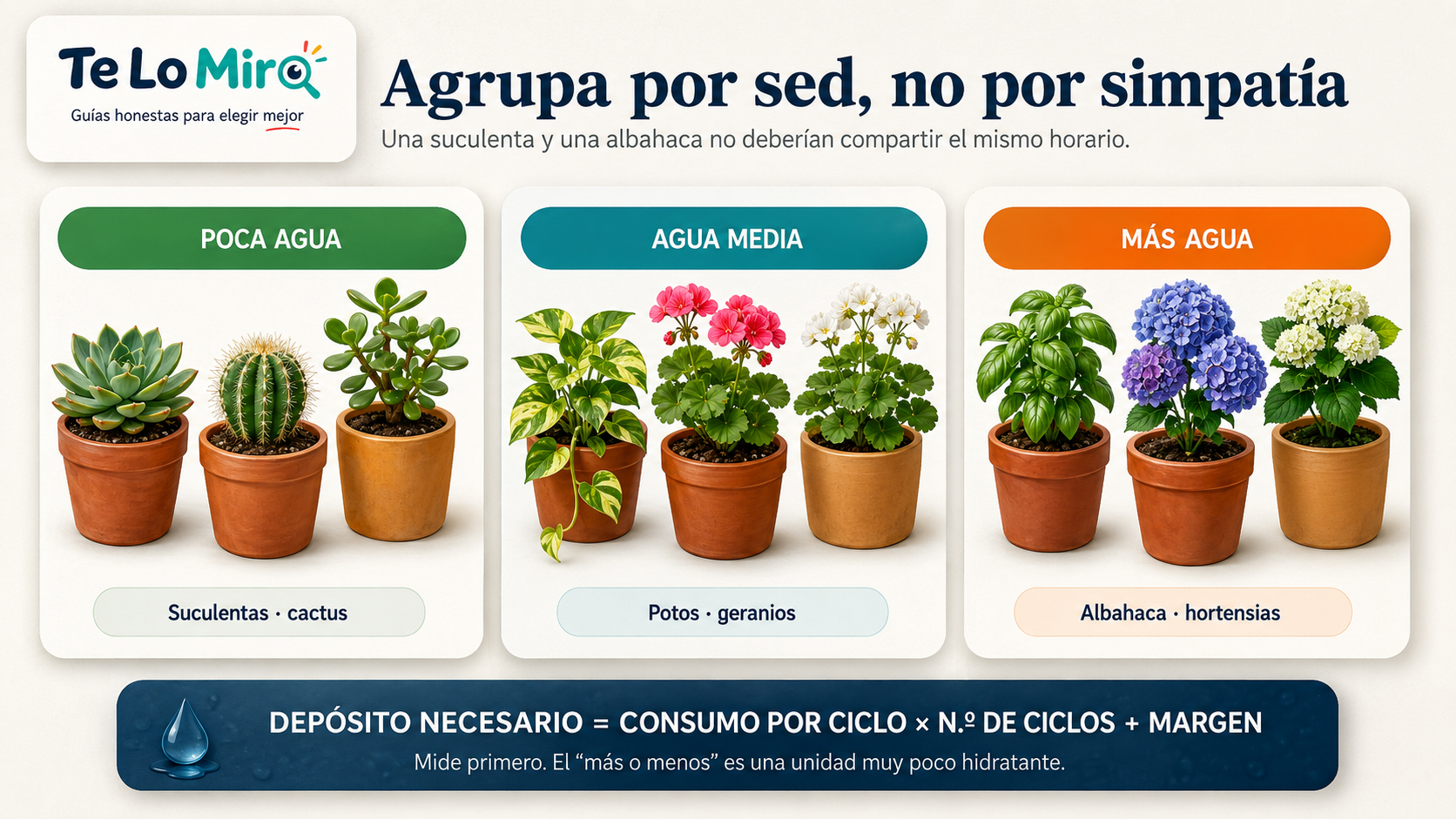 Cómo agrupar plantas por necesidades de agua y calcular el depósito del riego automático